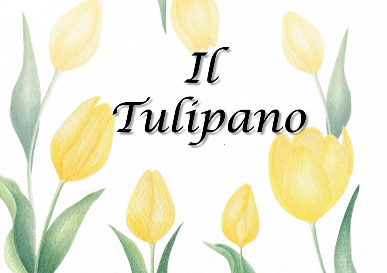Il Tulipano Apartment Trezzano Rosa Ngoại thất bức ảnh
